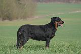 BEAUCERON 1024